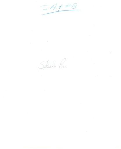 5281373