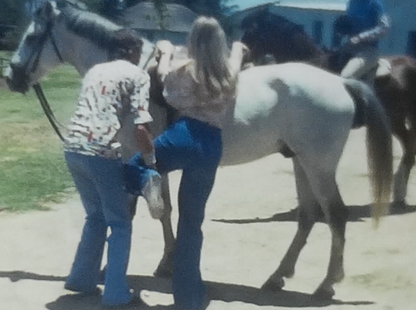 5276620