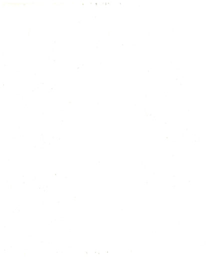 5281394